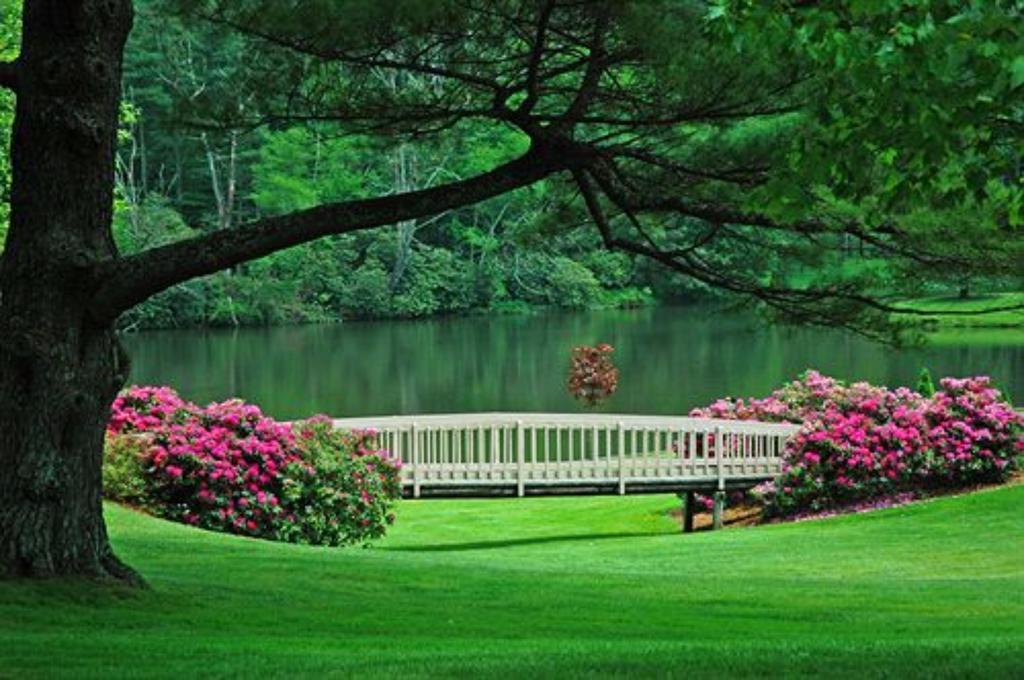 Chetola Resort At Blowing Rock Zewnętrze zdjęcie